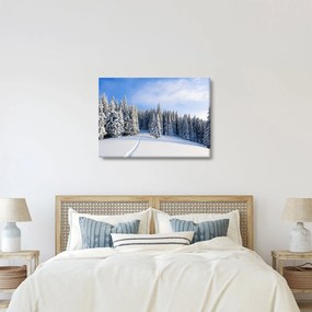 Obraz - Zima w lasach (70x50 cm)