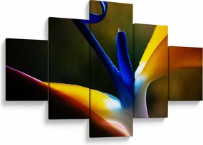 Obraz - Egzotyczny kwiat (125x70 cm)