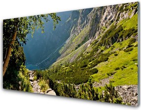 Panel Szklany Dzika Natura W Górach