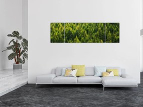 Obraz - Gęsty las (170x50 cm)