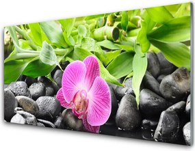 Szkło Dekoracyjne do Kuchni Wyrafinowana Orchidea Doniczkowa