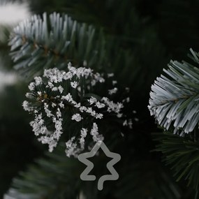 Sosna ośnieżona 150 cm