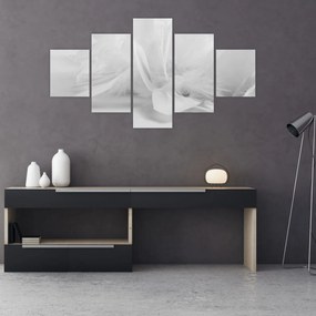 Obraz - Pióra (125x70 cm)