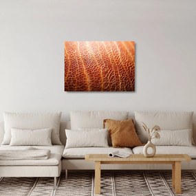 Obraz na szkle - Szczegóły tekstury (70x50 cm)
