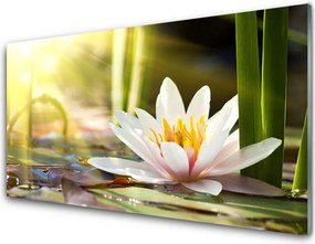 Panel nad blat kuchenny Pływająca Lilia Wodna
