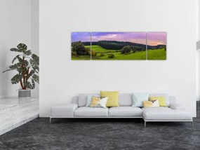 Obraz łąki (170x50 cm)
