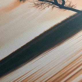 Obraz drzewa na wyspie (170x50 cm)