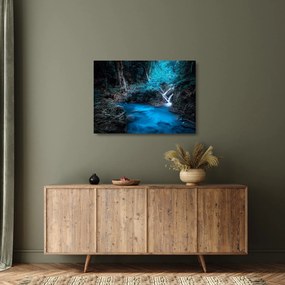 Obraz na szkle - Magiczna noc w tropikalnym lesie (70x50 cm)