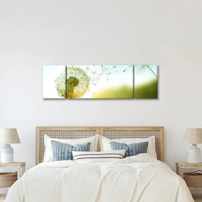 Obraz - Dmuchawiec na wietrze (170x50 cm)