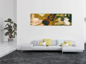 Obraz motyla na kwiatku (170x50 cm)