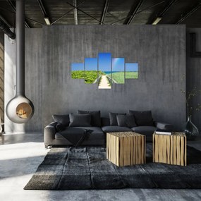 Obraz - Krajobraz i tęcza (125x70 cm)
