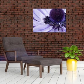 Obraz - Fioletowy kwiat (70x50 cm)