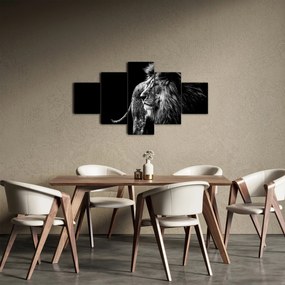 Obraz - Lew (125x70 cm)