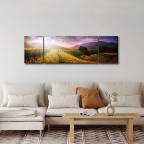 Obraz krajobrazu (170x50 cm)