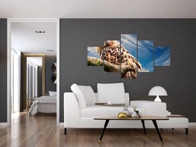 Obraz sowy (125x70 cm)