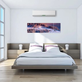 Obraz zimowego krajobrazu (170x50 cm)