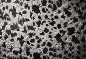 Fototapeta - Cętkowana sierść (196x136 cm)