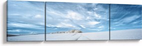 Obraz pola (170x50 cm)