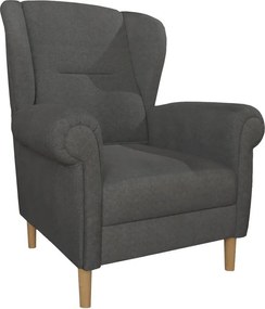 Ciemnoszary fotel typu uszak Swan – Ropez