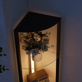 HOMCOM LED Lampa Stojąca ze Szklanymi Półkami, Lampa z 3 Poziomami Jasności, Czarna | Aosom PL