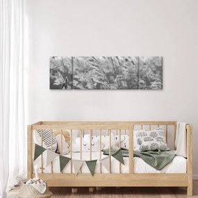 Obraz - Trawa na wietrze (170x50 cm)