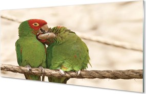Panel szklany do Kuchni Stado Zielonych Papug