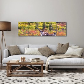 Obraz - Renifer tundrowy (170x50 cm)