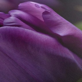 Obraz kwiatów tulipanów (z zegarem) (90x30 cm)