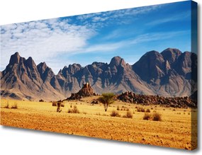 Obraz canvas Surowe Góry na Pustyni