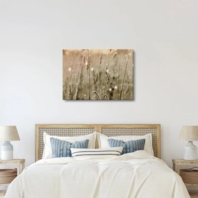 Obraz - Harmonious Meadow (70x50 cm)