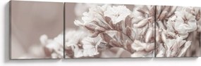 Obraz - Szczegół gałązek (170x50 cm)