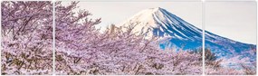 Obraz - Japonia wiosną (170x50 cm)