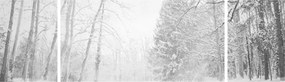 Obraz - Drewniane molo zimą (170x50 cm)