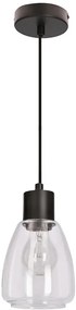 Nowoczesna lampa wisząca w stylu loftowym bezbarwna - D202 B5-D59