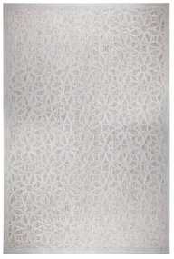Szary dywan odpowiedni na zewnątrz 230x160 cm Argento – Flair Rugs