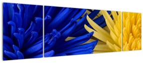 Obraz - szczegóły kwiatów (170x50 cm)