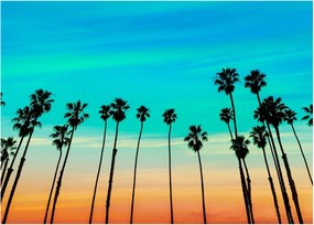 Obraz - Kalifornia (70x50 cm)
