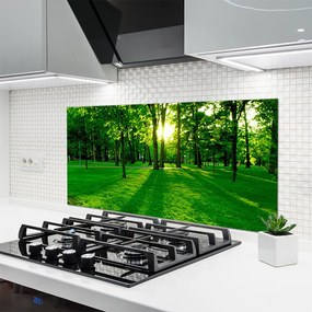 Panel Kuchenny Spokojna Aleja W Parku