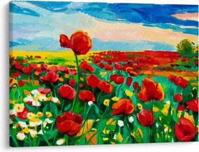 Obraz pola z makami (70x50 cm)