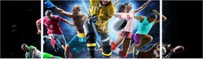 Obraz - Sport (170x50 cm)