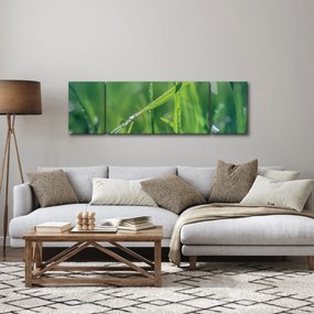 Obraz kropli rosy (170x50 cm)