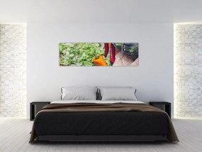 Obraz warzyw (170x50 cm)