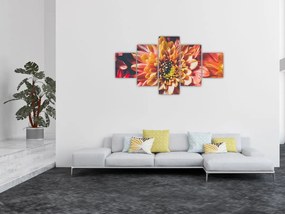 Obraz - Chryzantemy (125x70 cm)