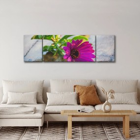 Obraz ciętego kwiatu (170x50 cm)