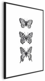 Plakat Trzy motyle 21x30 cm z ramą czarną z marginesem ARTGEIST B