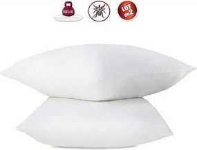 Zestaw 2 poduszek przeciwplesniowych 60 x 60 cm 100% bawełna z bioobrabianym - Abeil