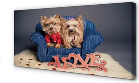 Duży obraz na płótnie Urocze Yorki