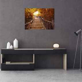 Obraz - Schody w naturze jesienią (70x50 cm)
