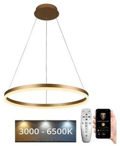 Brilagi - LED Żyrandol ściemnialny na lince CIRCLE LED/42W/230V 3000-6500K + pilot