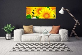 Obraz Canvas Słonecznik Kwiat Natura